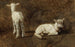 Study of two lambs - Juliette Peyrol-Bonheur — artwork view