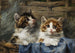 Two kittens in a basket with blue fabric - Julius Adam — artwork view