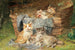 Cats players - Julius Adam the Younger — artwork view