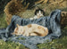 Two kittens - Julius Adam the Younger — artwork view
