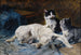 Mother cat with two kittens - Julius Anton Adam — artwork view
