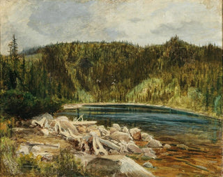 a painting Une vue d'un lac dans la forêt de Bohême - Julius Eduard Mařák — artwork view
