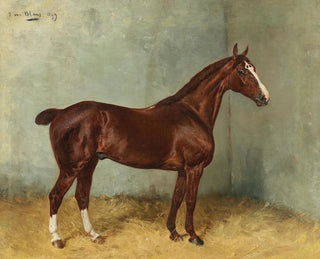 a brown horse with a white star in a stable - Julius von Blaas — artwork view
