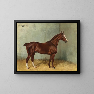 a brown horse with a white star in a stable - Julius von Blaas — framed artwork on a wall