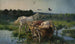 Mort d'une vivandière - Józef Ryszkiewicz — artwork view