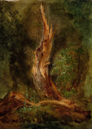 Forest of Volhynia - Józef Szermentowski — artwork view