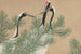 Cranes (Tsuru) - Kamisaka Sekka — artwork view