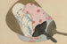 Fans Senmen - Kamisaka Sekka — artwork view
