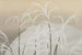 Herbe de la pampa au clair de lune Obana ni tsuki - Kamisaka Sekka — artwork view