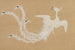 Phoenix White Hakuho - Kamisaka Sekka — artwork view