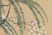 Willow and Cherry Blossom Yanagizakura - Kamisaka Sekka — artwork view