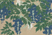 Wisteria Fuji - Kamisaka Sekka — artwork view
