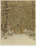 Parktor - Karl Biese — artwork view