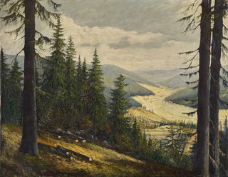 A view of the Black Forest - Karl Julius Wilhelm Heilmann — artwork view