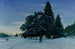 Winter Day at Uggleviken - Karl Nordström — artwork view