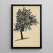 Untitled Tree Foliage - Karl Wiener — framed artwork on a wall