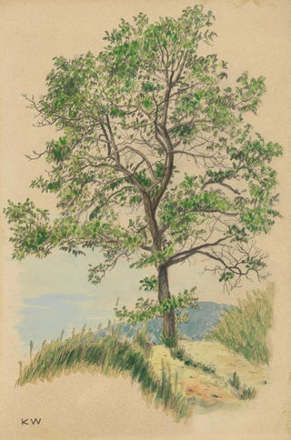 Untitled leafy tree and path - Karl Wiener — artwork view