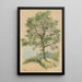 Untitled leafy tree and path - Karl Wiener — framed artwork on a wall