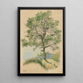 Untitled leafy tree and path - Karl Wiener — framed artwork on a wall
