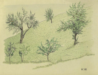 Untitled painting, deciduous trees on a hill - Karl Wiener — artwork view