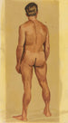 Male Nude Painting VII - Karl Wiener — artwork view