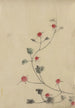 Small Red Flowers on a Vine - Katsushika Hokusai — artwork view