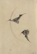 Two flying bats - Katsushika Hokusai — artwork view