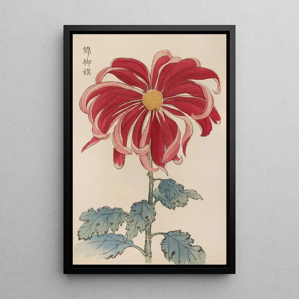 Keika hyakugiku Pl01 - Keika Hasegawa — framed artwork on a wall