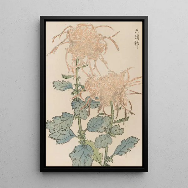 Keika hyakugiku Pl02 - Keika Hasegawa — framed artwork on a wall