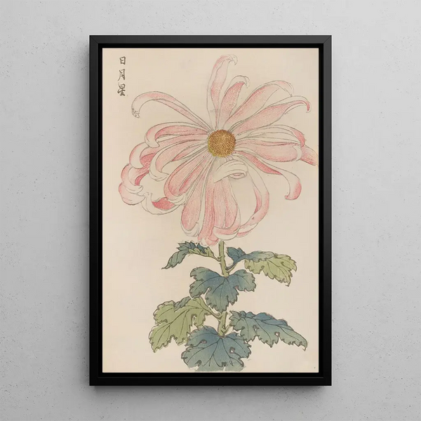 Keika hyakugiku Pl03 - Keika Hasegawa — framed artwork on a wall
