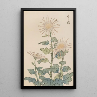 Keika hyakugiku Pl04 - Keika Hasegawa — framed artwork on a wall