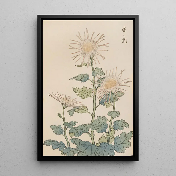 Keika hyakugiku Pl04 - Keika Hasegawa — framed artwork on a wall