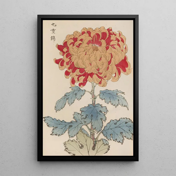 Keika hyakugiku Pl05 - Keika Hasegawa — framed artwork on a wall