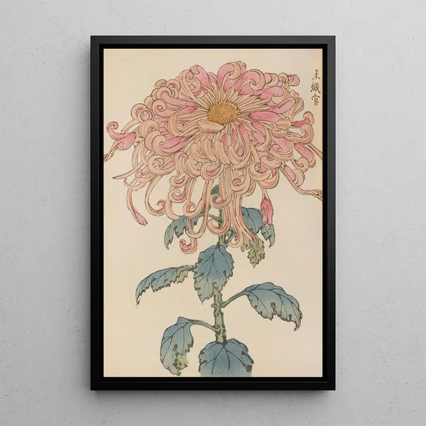 Keika hyakugiku Pl06 - Keika Hasegawa — framed artwork on a wall