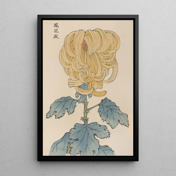 Keika hyakugiku Pl07 - Keika Hasegawa — framed artwork on a wall