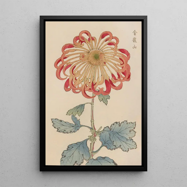 Keika hyakugiku Pl08 - Keika Hasegawa — framed artwork on a wall