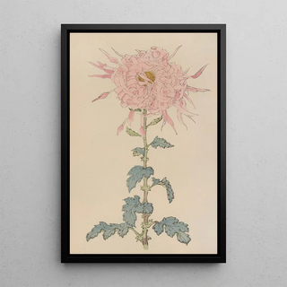 Keika hyakugiku Pl09 - Keika Hasegawa — framed artwork on a wall