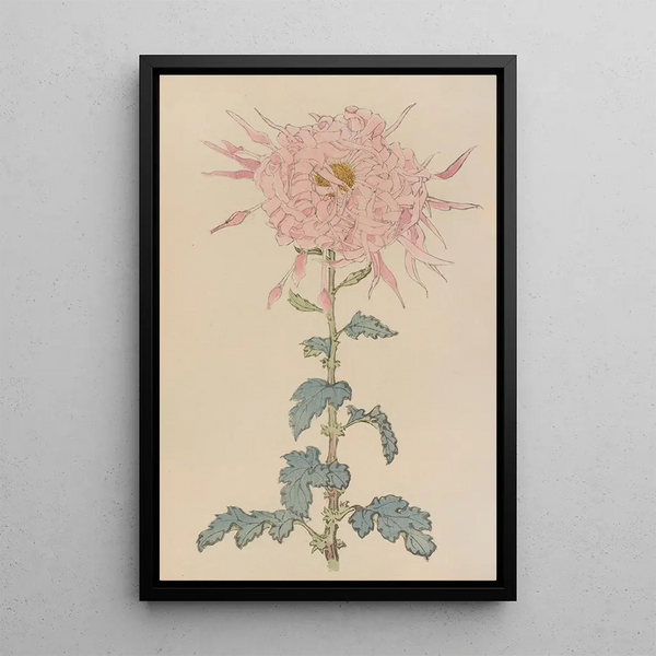 Keika hyakugiku Pl09 - Keika Hasegawa — framed artwork on a wall