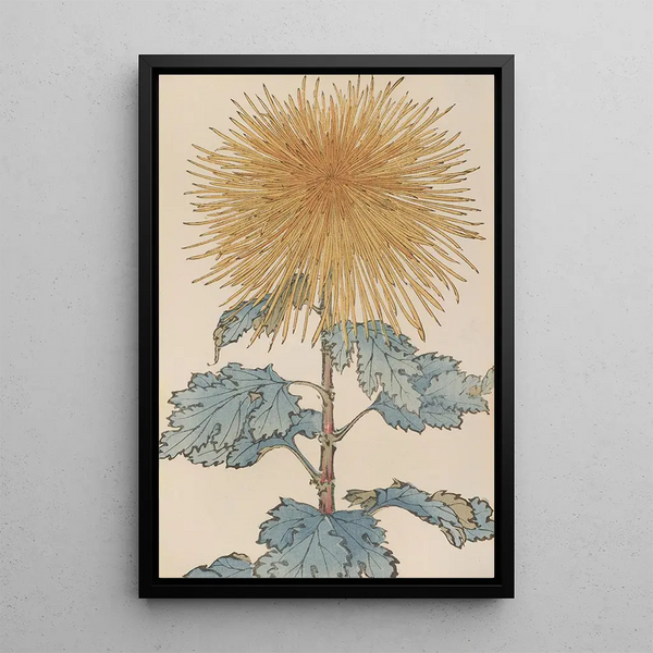 Keika hyakugiku Pl10 - Keika Hasegawa — framed artwork on a wall
