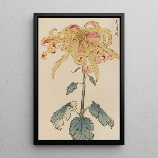 Keika hyakugiku Pl11 - Keika Hasegawa — framed artwork on a wall