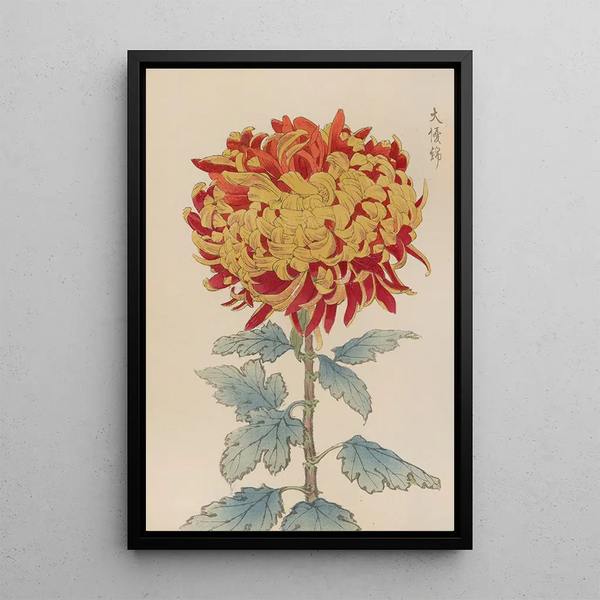 Keika hyakugiku Pl12 - Keika Hasegawa — framed artwork on a wall
