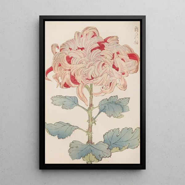 Keika hyakugiku Pl13 - Keika Hasegawa — framed artwork on a wall
