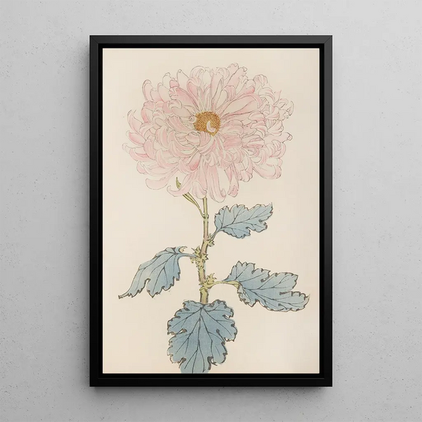 Keika hyakugiku Pl14 - Keika Hasegawa — framed artwork on a wall
