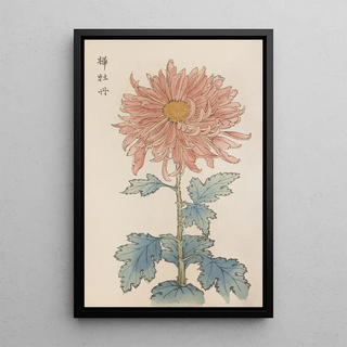 Keika hyakugiku Pl15 - Keika Hasegawa — framed artwork on a wall