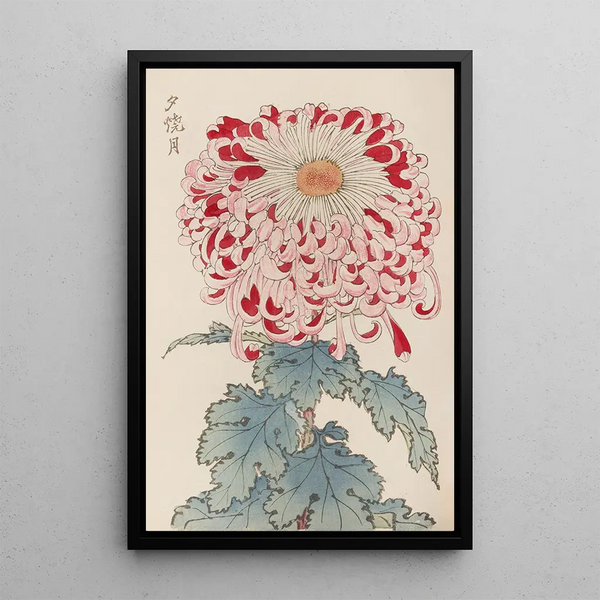 Keika hyakugiku Pl16 - Keika Hasegawa — framed artwork on a wall