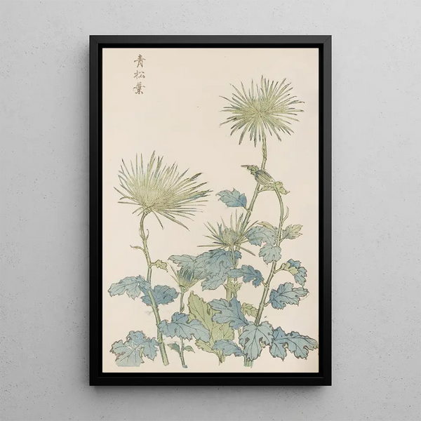 Keika hyakugiku Pl18 - Keika Hasegawa — framed artwork on a wall