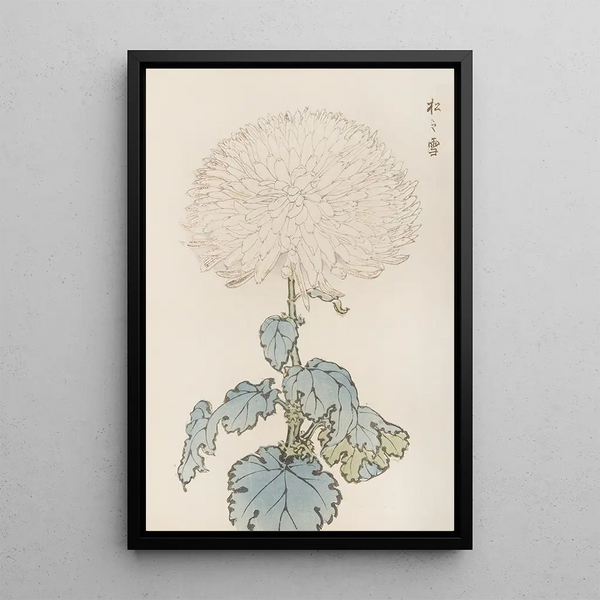Keika hyakugiku Pl19 - Keika Hasegawa — framed artwork on a wall