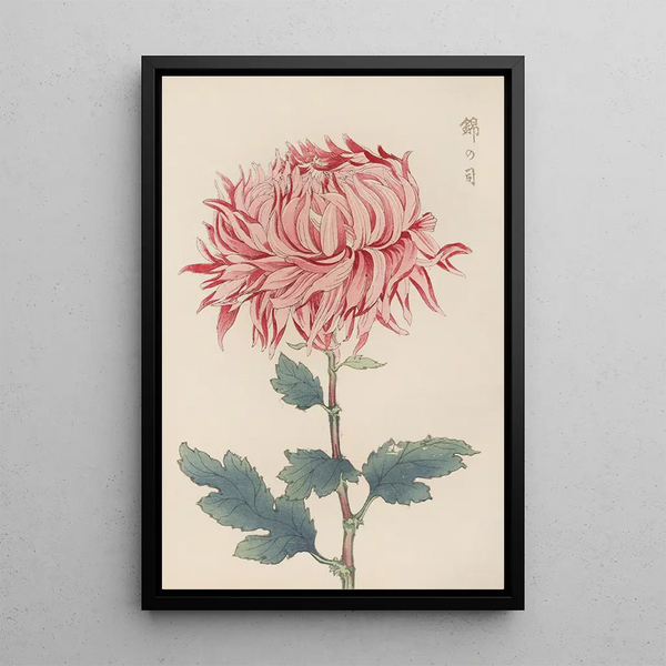 Keika hyakugiku Pl20 - Keika Hasegawa — framed artwork on a wall