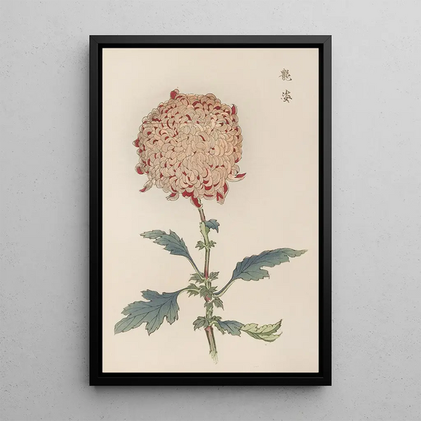 Keika hyakugiku Pl21 - Keika Hasegawa — framed artwork on a wall