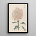 Keika hyakugiku Pl22 - Keika Hasegawa — framed artwork on a wall